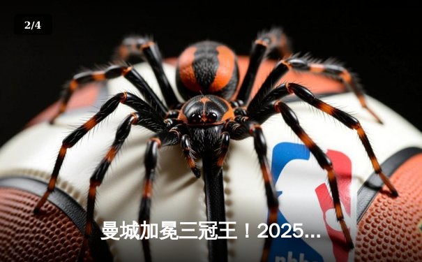 曼城加冕三冠王！2025世俱杯决赛绝杀皇马创历史 - 2