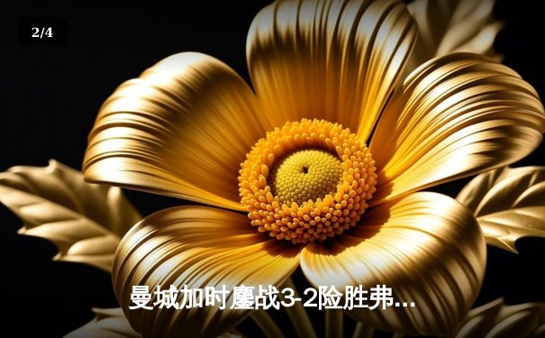 曼城加时鏖战3-2险胜弗拉门戈，首夺世俱杯冠军创俱乐部历史 - 2